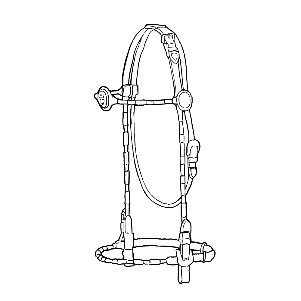 Silver_Trimmed_Bridles_Illustration